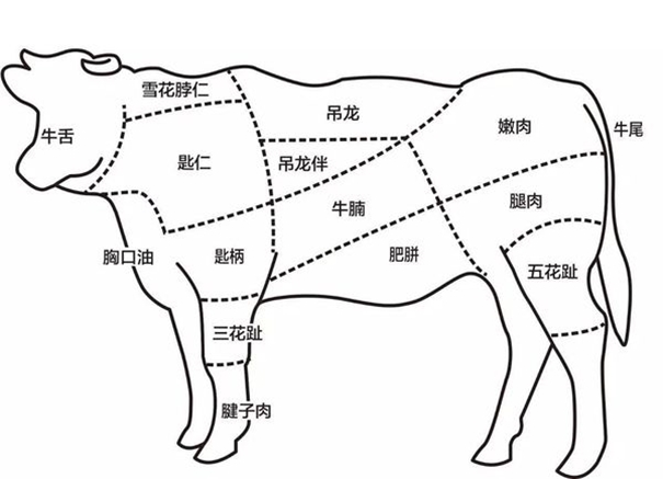 冷凍牛肉進口報關(guān)需注意的操作細節(jié)