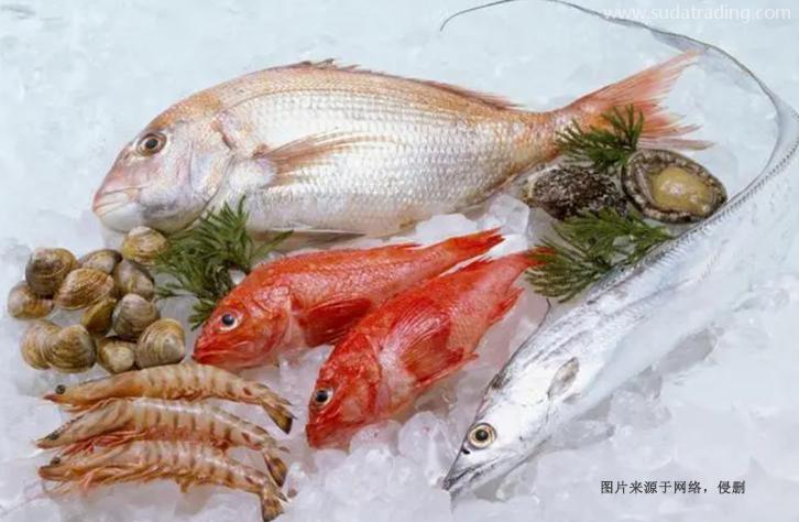 上海進(jìn)口巴基斯坦水產(chǎn)品報(bào)關(guān)資料冷凍魚(yú)蝦蟹清關(guān)